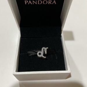 Pandora capricon charm